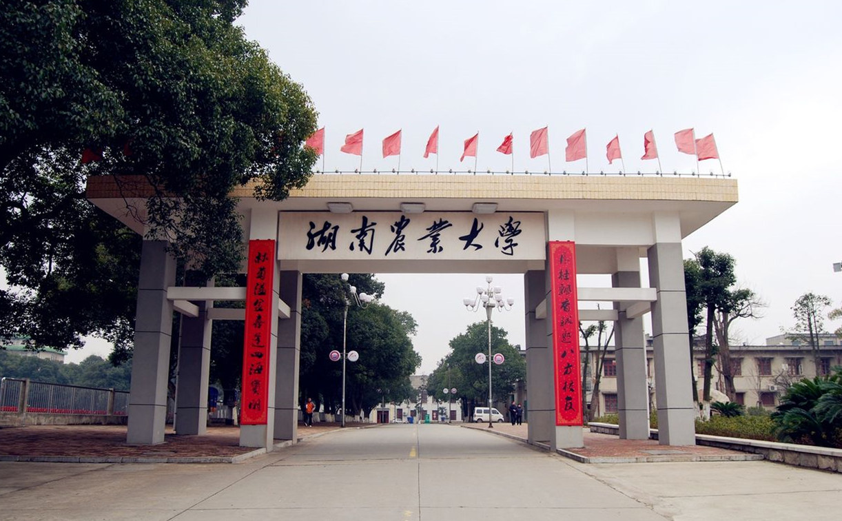 湖南农业大学_副本.jpg